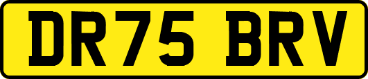 DR75BRV