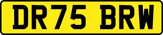 DR75BRW
