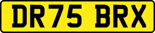 DR75BRX