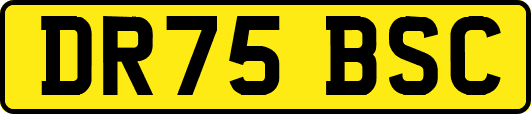 DR75BSC