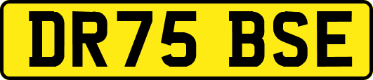 DR75BSE
