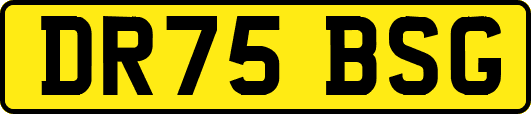 DR75BSG
