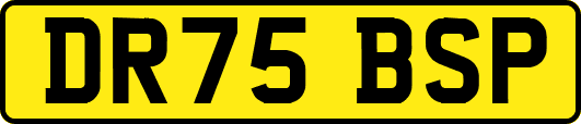 DR75BSP