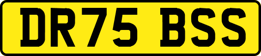 DR75BSS