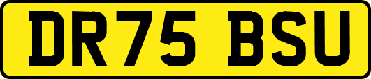 DR75BSU
