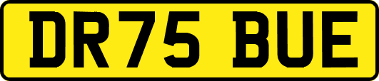 DR75BUE