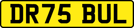 DR75BUL
