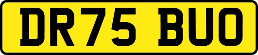 DR75BUO
