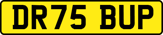 DR75BUP