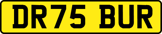 DR75BUR