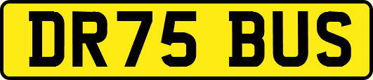 DR75BUS