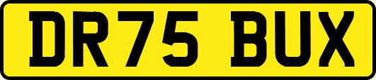 DR75BUX
