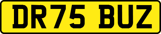 DR75BUZ