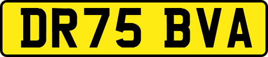 DR75BVA