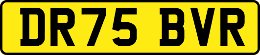 DR75BVR