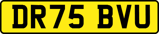 DR75BVU