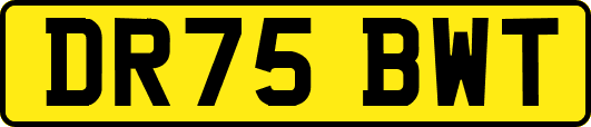 DR75BWT