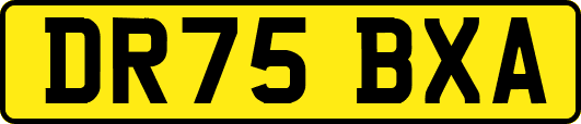 DR75BXA