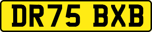 DR75BXB