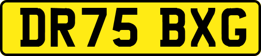 DR75BXG