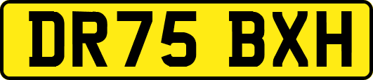 DR75BXH