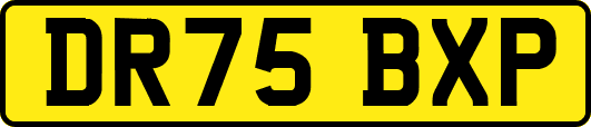 DR75BXP