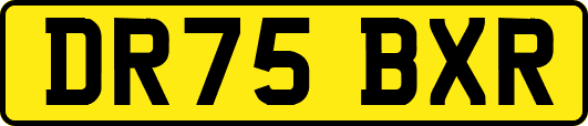 DR75BXR