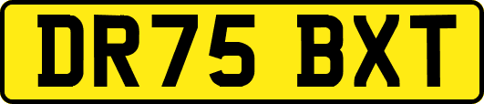 DR75BXT