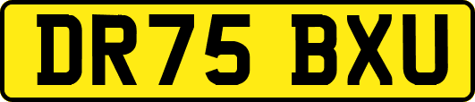 DR75BXU