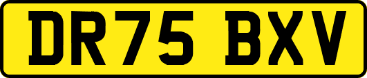 DR75BXV