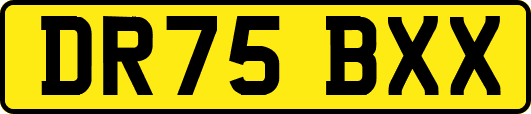 DR75BXX