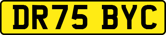DR75BYC