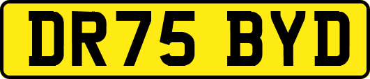 DR75BYD
