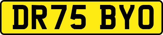DR75BYO