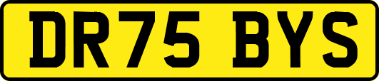 DR75BYS