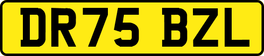 DR75BZL
