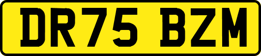 DR75BZM