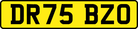 DR75BZO