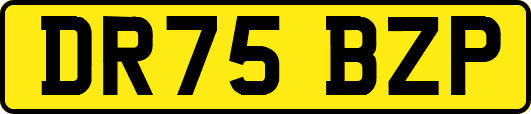 DR75BZP