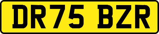 DR75BZR