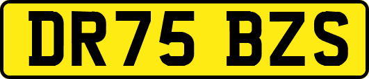 DR75BZS