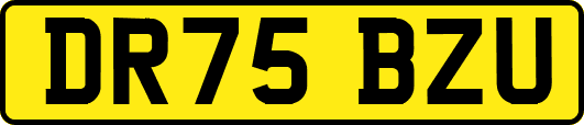 DR75BZU