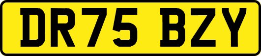 DR75BZY