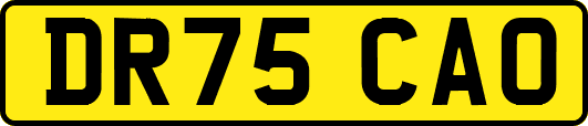 DR75CAO