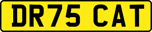 DR75CAT