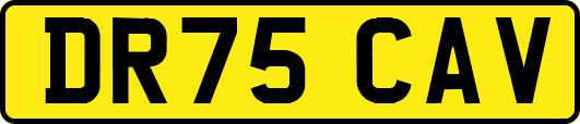 DR75CAV