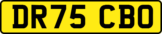 DR75CBO