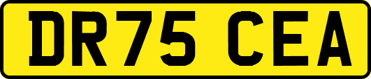 DR75CEA