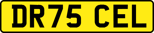 DR75CEL