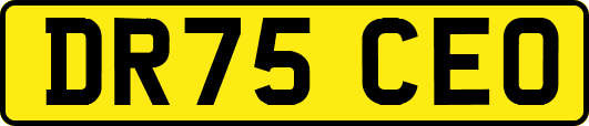 DR75CEO